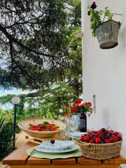 Apartamento Casina Foggia Dell'Albero Putignano Exterior foto