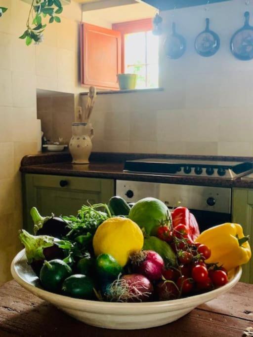 Apartamento Casina Foggia Dell'Albero Putignano Exterior foto
